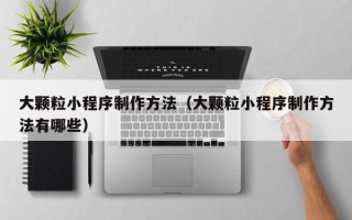 沈阳大颗粒小程序制作方法（大颗粒小程序制作方法有哪些）