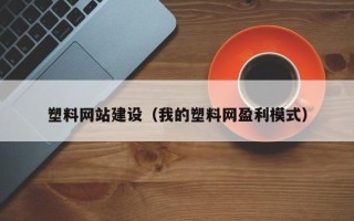 沈阳塑料网站建设（我的塑料网盈利模式）