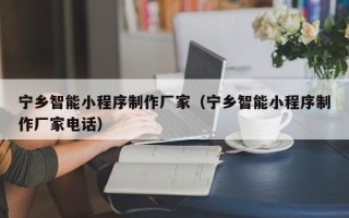 沈阳宁乡智能小程序制作厂家（宁乡智能小程序制作厂家电话）