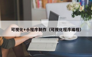 沈阳可视化+小程序制作（可视化程序编程）
